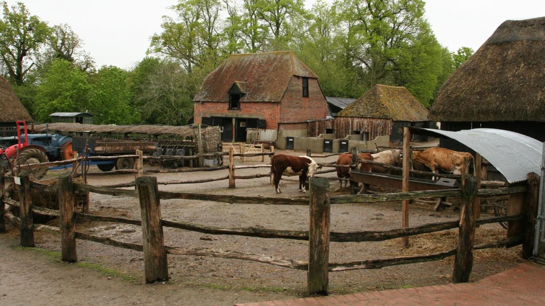 Wartime Farm E1 Wartime Farm Knowledge.ca